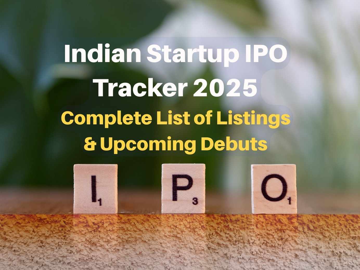 Indian Startup IPO