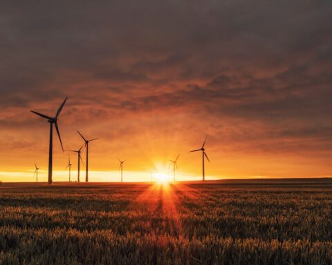 Indian climate startups 2026 solving environmental problems